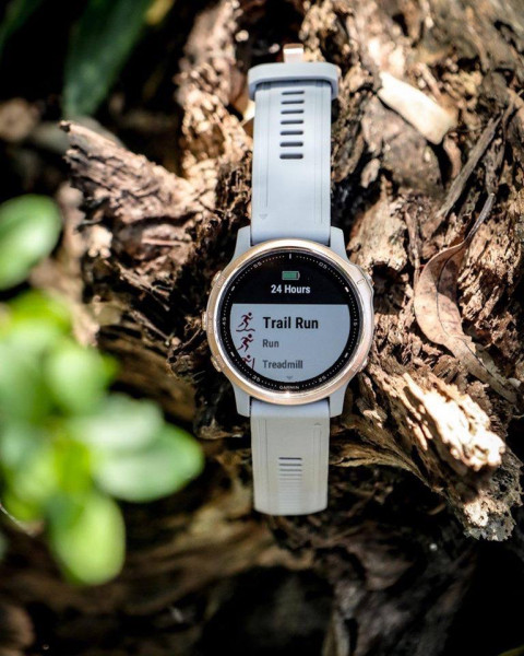 garmin fenix 6