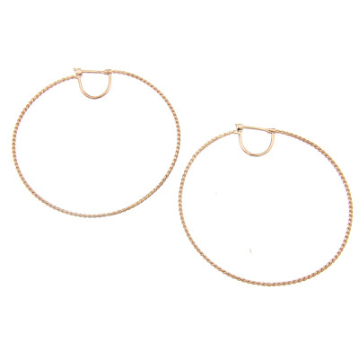 Orecchini Cerchi Intrecciati