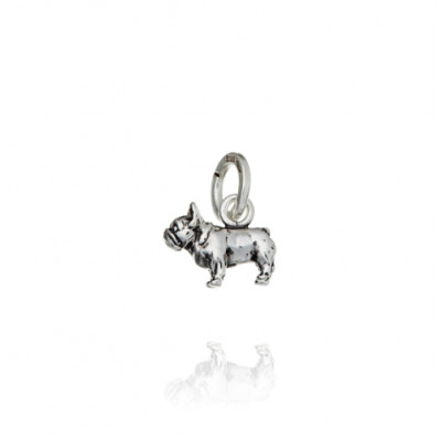 Charm Bulldog Francese