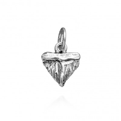 Charm Dente Di Squalo