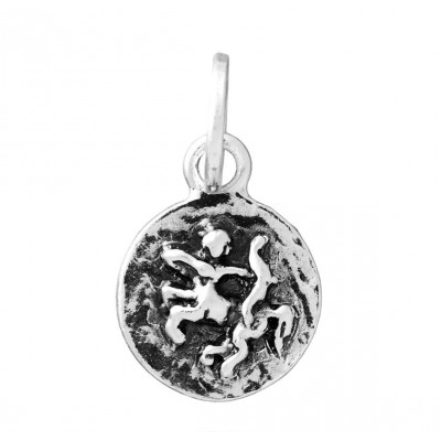 Charm Sagittario Zodiaco