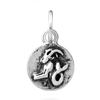 Charm Capricorno Zodiaco