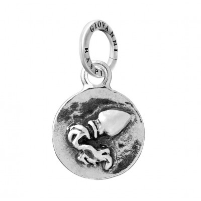Charm Acquario Zodiaco