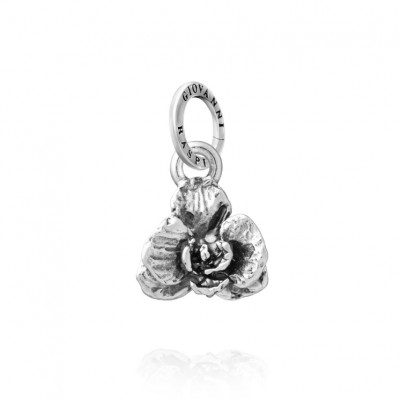 Charm Orchidea