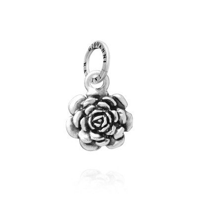 Charm Camelia