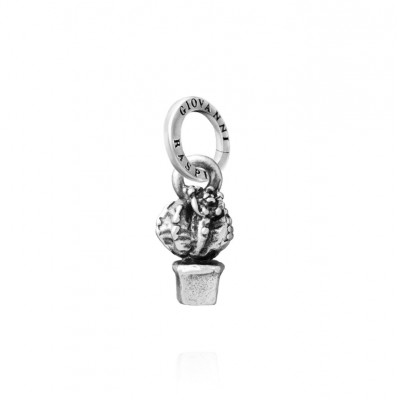 Charm Pianta grassa