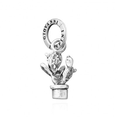 Charm Fico d'India