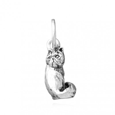 Charm Gatto Persiano
