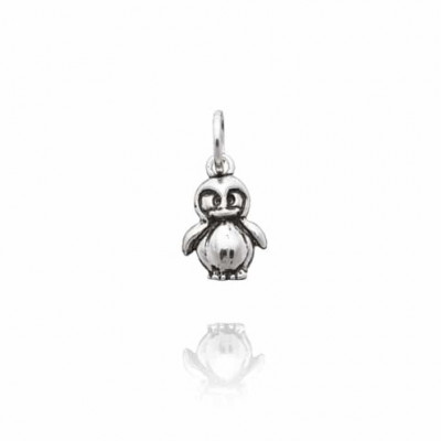 Charm Pinguino