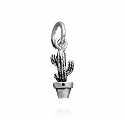 Charm Cactus