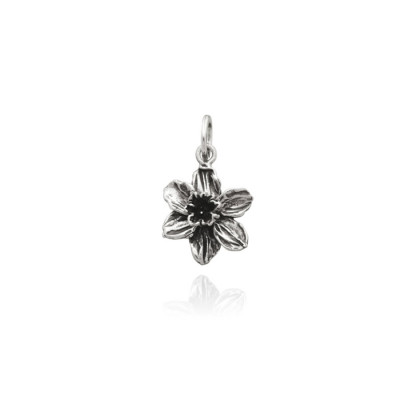 Charm Narciso