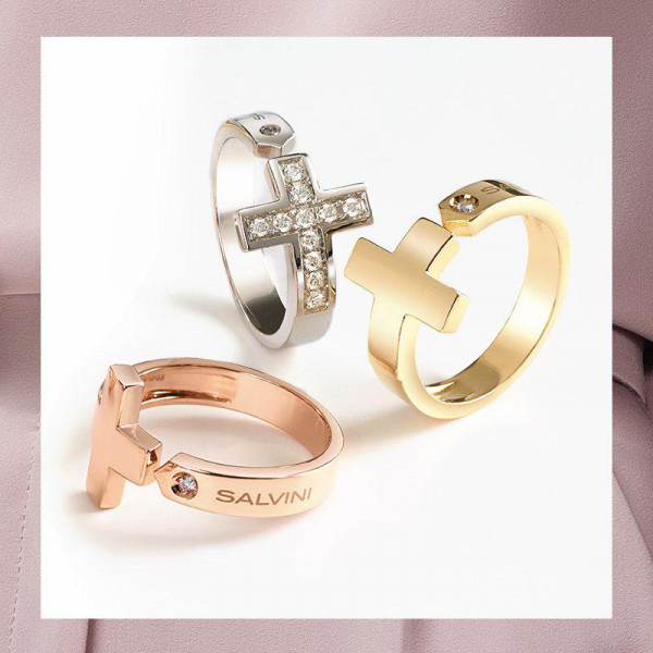 salvini anelli i segni